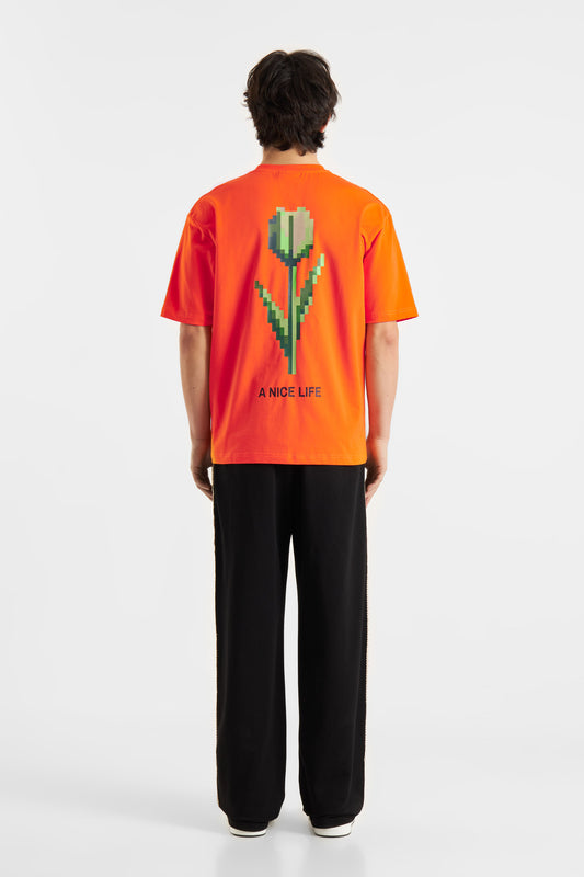 Don't Waste Culture Talora T-shirt Orange